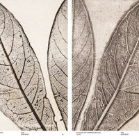 Capturing Nature: 150 Years of Nature Printing