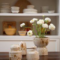 Speckle Ceramic Collection