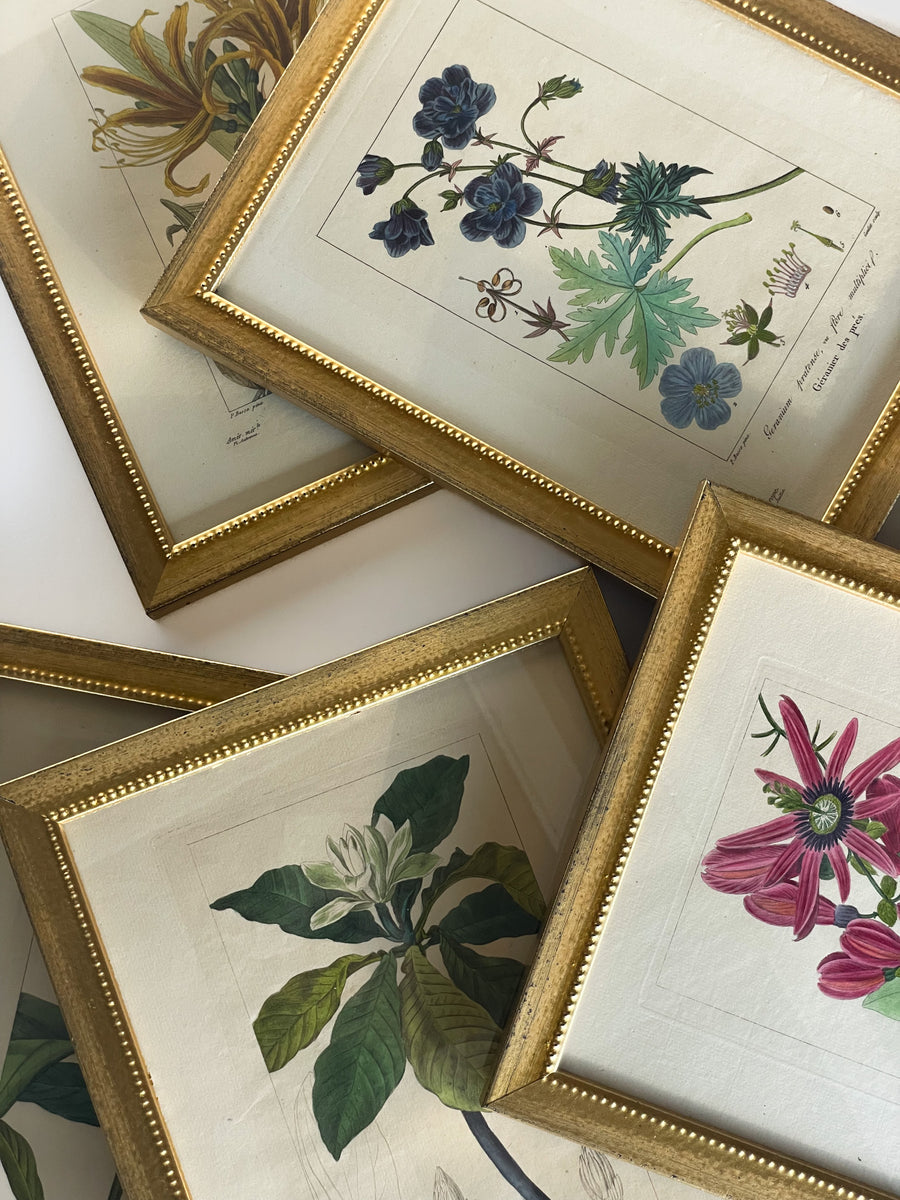 Gold Framed Botanical Prints (Set of 6)