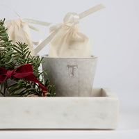 Plant Lover Holiday Gift Set